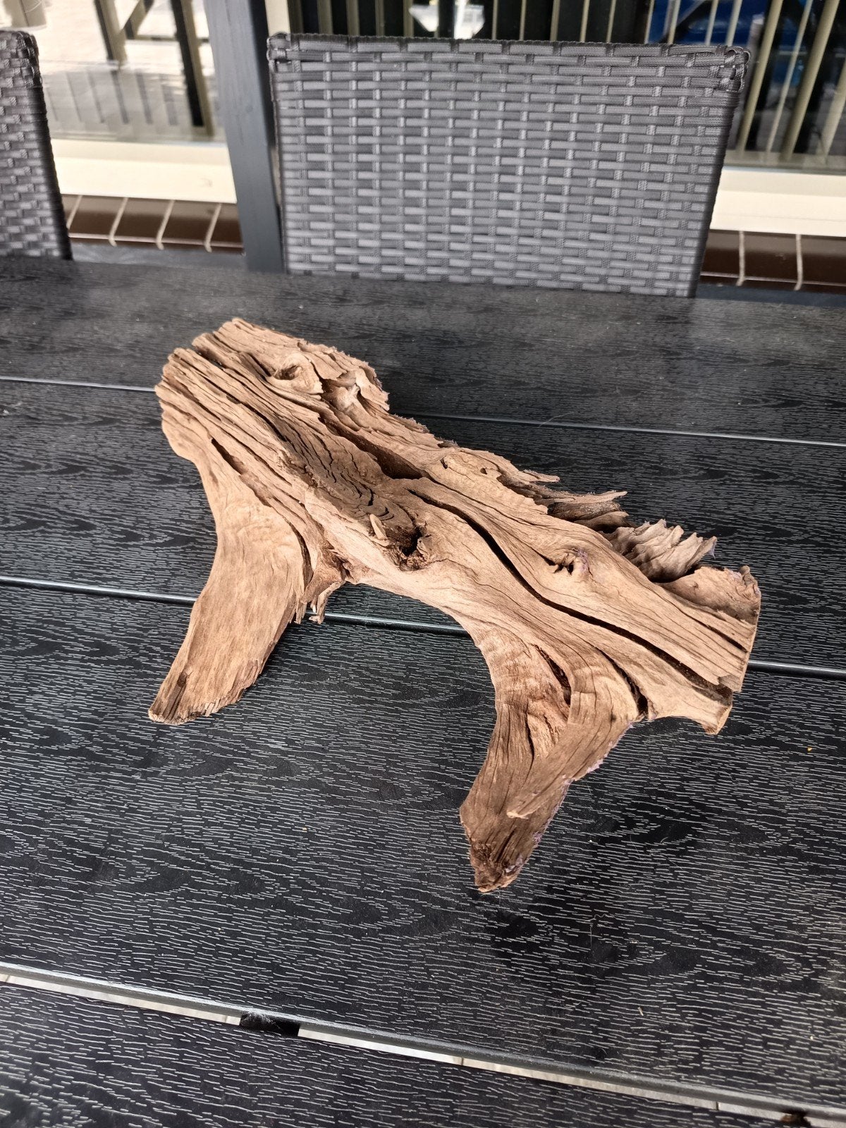Groot stuk kienhout, Ophalen, Plant(en), Steen of Hout