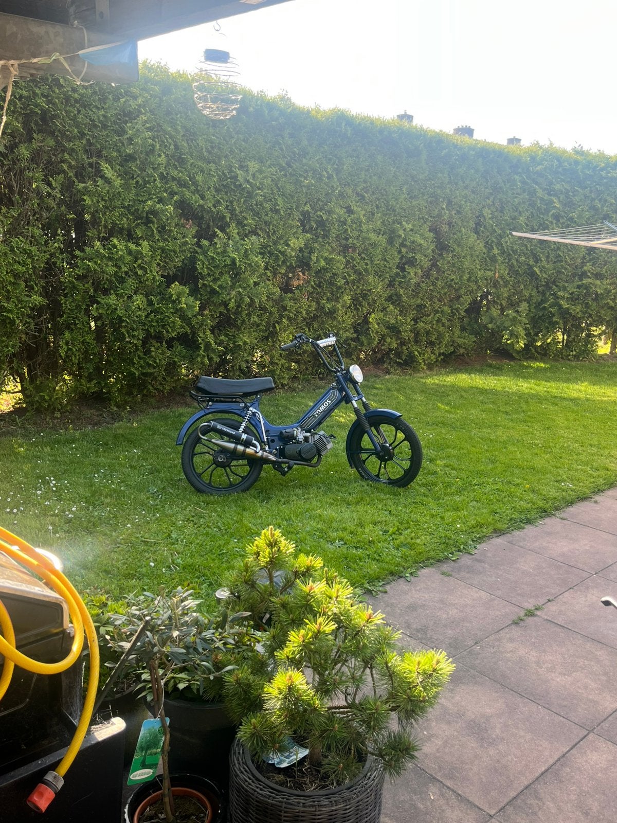 Tomos 65cc, Fietsen en Brommers, Brommers | Tomos, Ophalen, Zo goed als nieuw, Standard