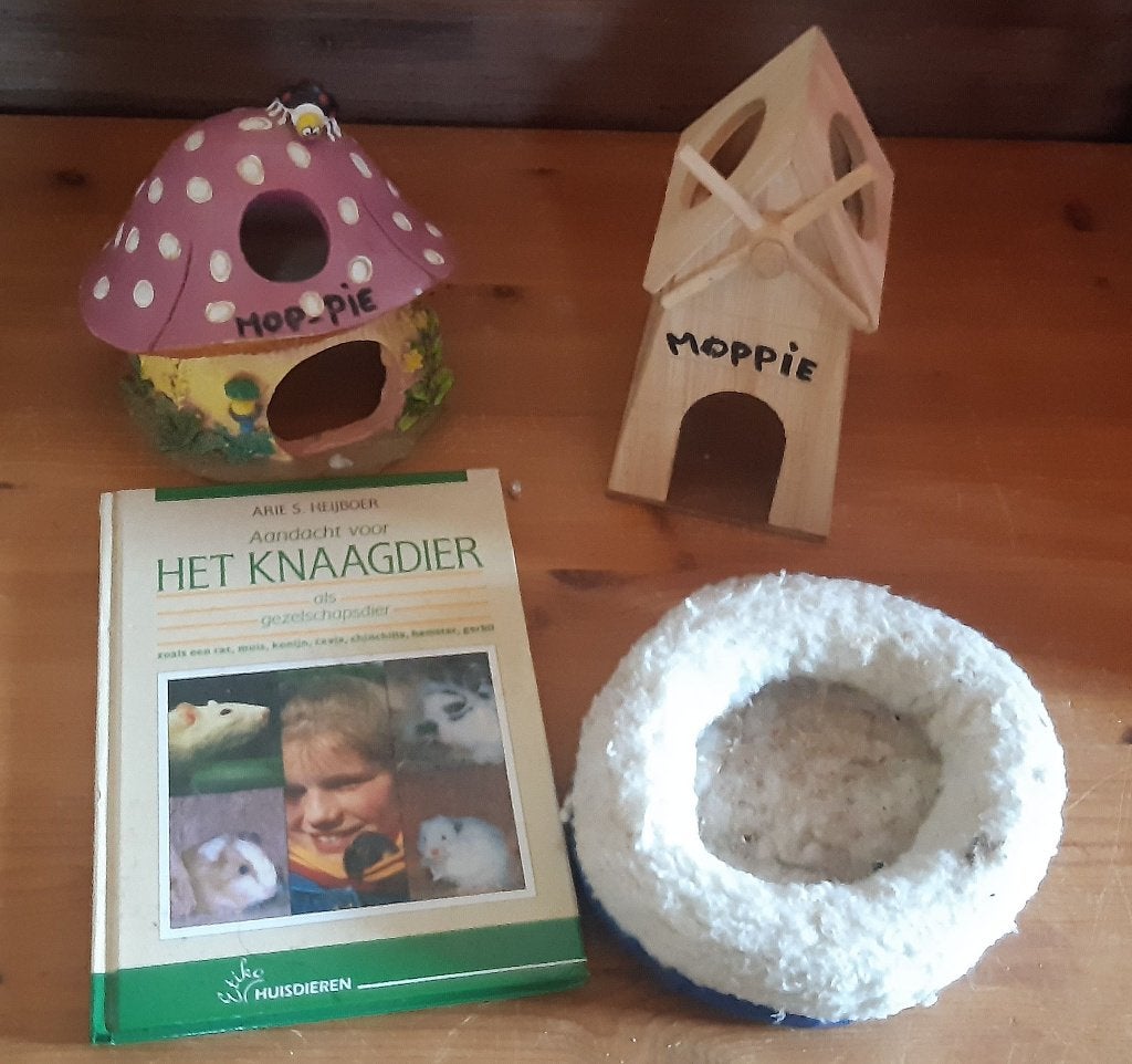 hamster knaagdier spullen boekjes, Dieren en Toebehoren, Ophalen, Gebruikt, Overige typen