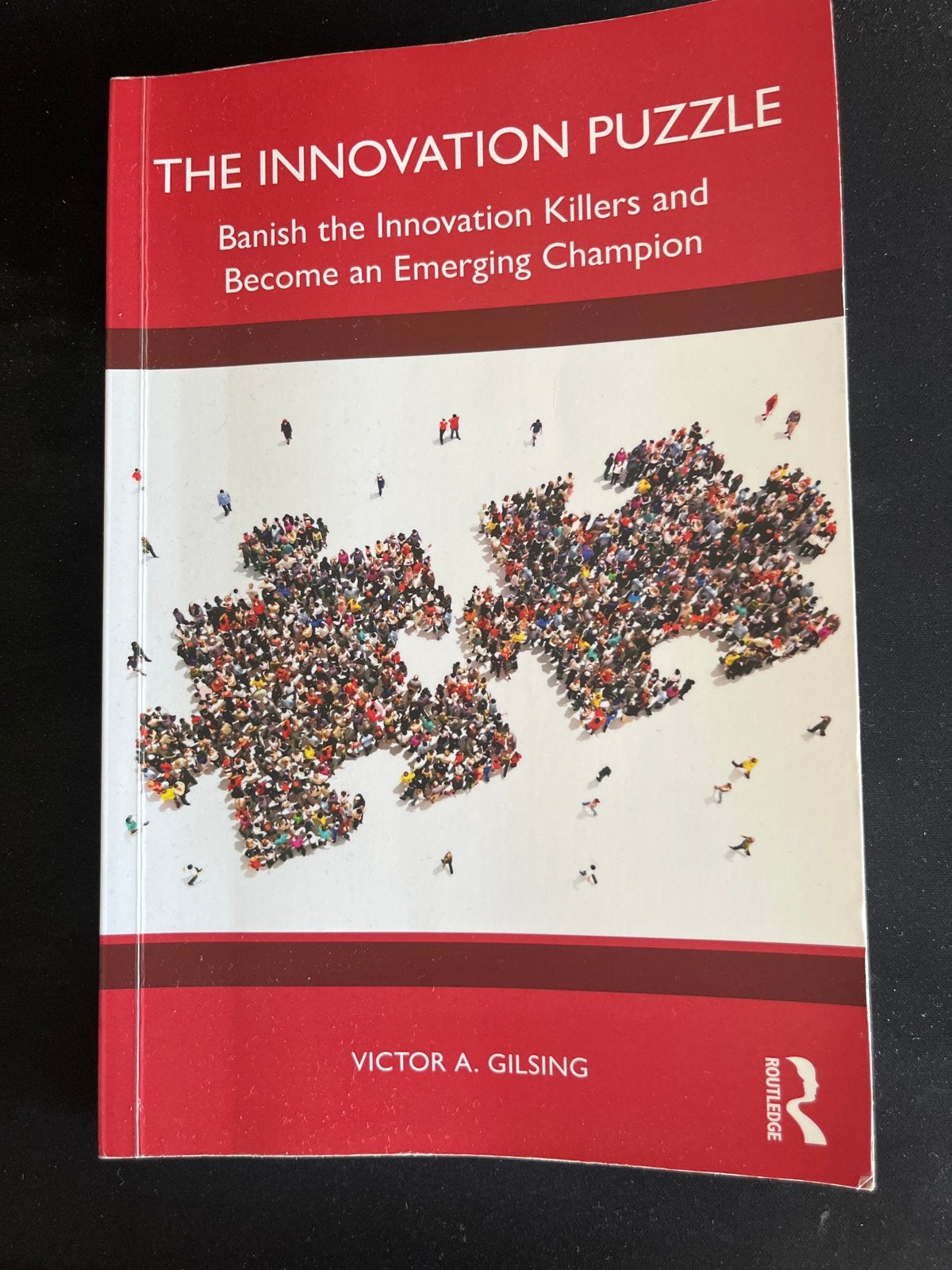 The Innovation Puzzle - Victor A. Gilsing, Boeken, Studieboeken en Cursussen, Ophalen of Verzenden, Gamma, Zo goed als nieuw, WO