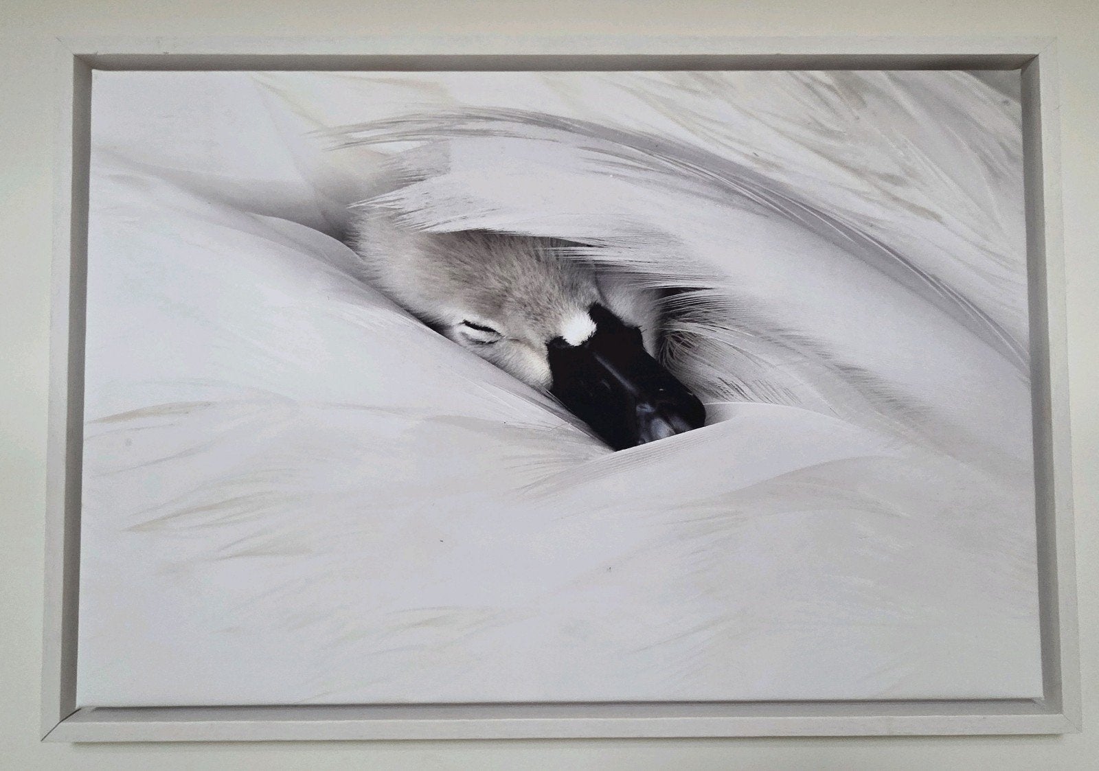 Foto op canvas in baklijst, Ophalen