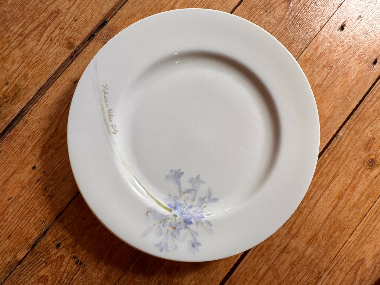 4 Royal Fine China borden 'African Blue Lily', Gebruikt, Overige merken, Ophalen of Verzenden, Bord(en)