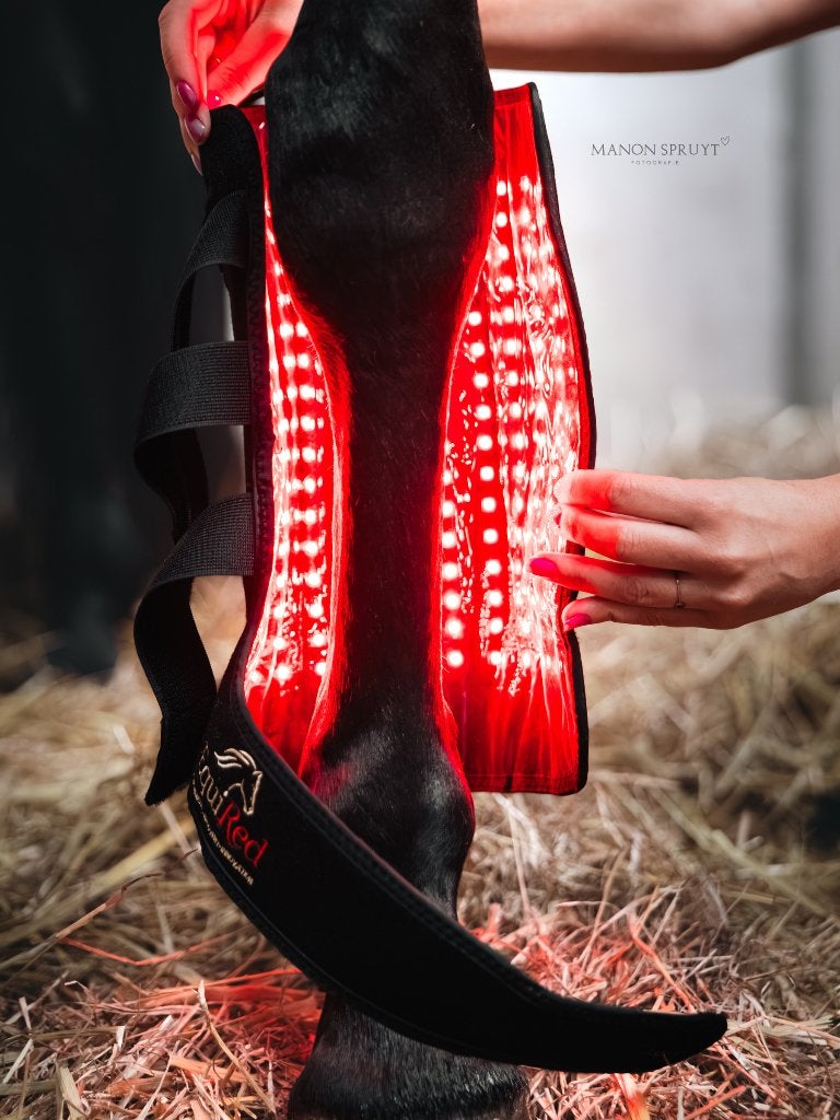 Roodlicht therapie sessie, Ophalen, Cross-country, Overige merken, Nieuw