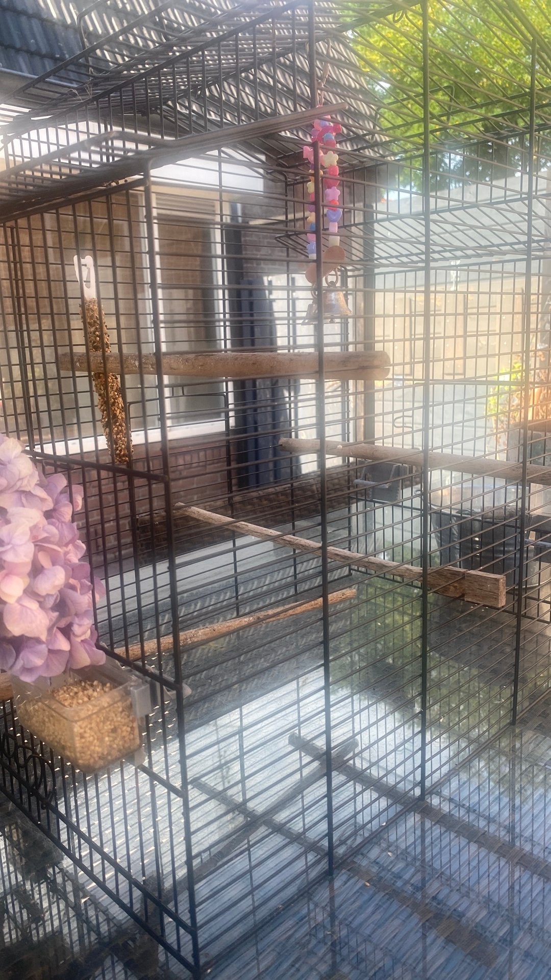 Zangkanari man gezocht, Dieren en Toebehoren, Ophalen, Zo goed als nieuw, Hout, Vogelkooi