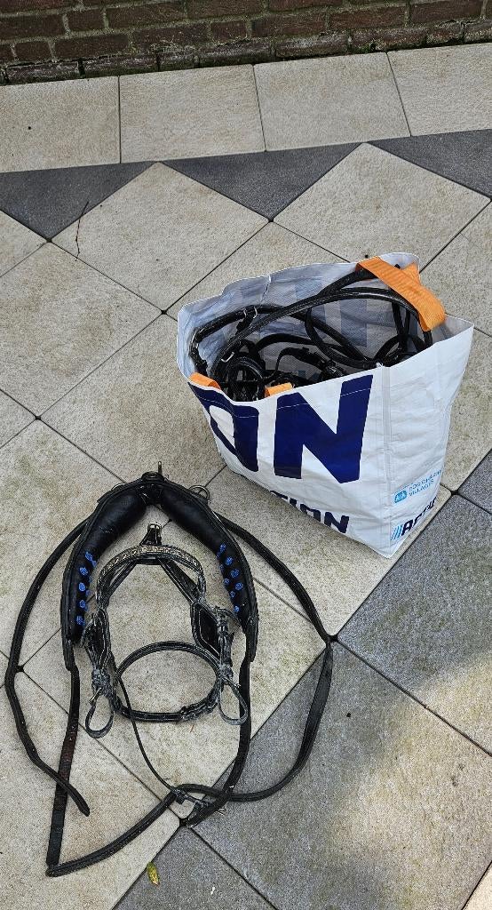 Minishetlander mentuig, Ophalen of Verzenden, Gebruikt, Overige soorten
