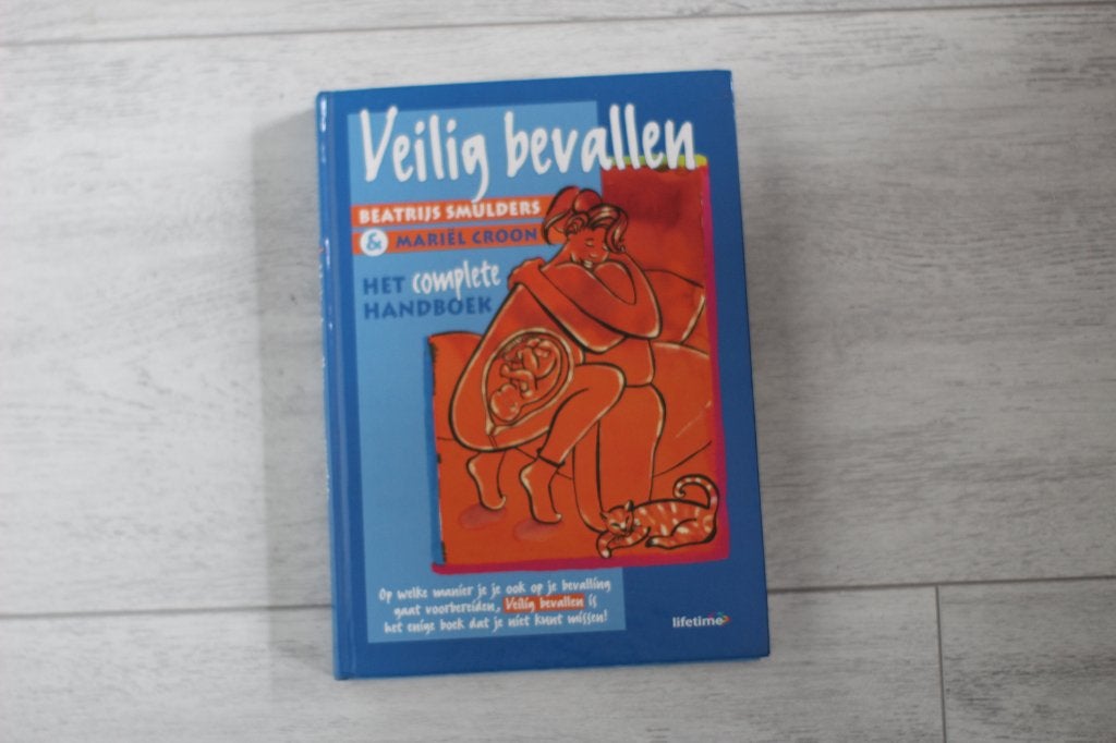 boek: veilig bevallen, Zwangerschap en Bevalling, Beatrijs Smulders, Ophalen of Verzenden, Zo goed als nieuw