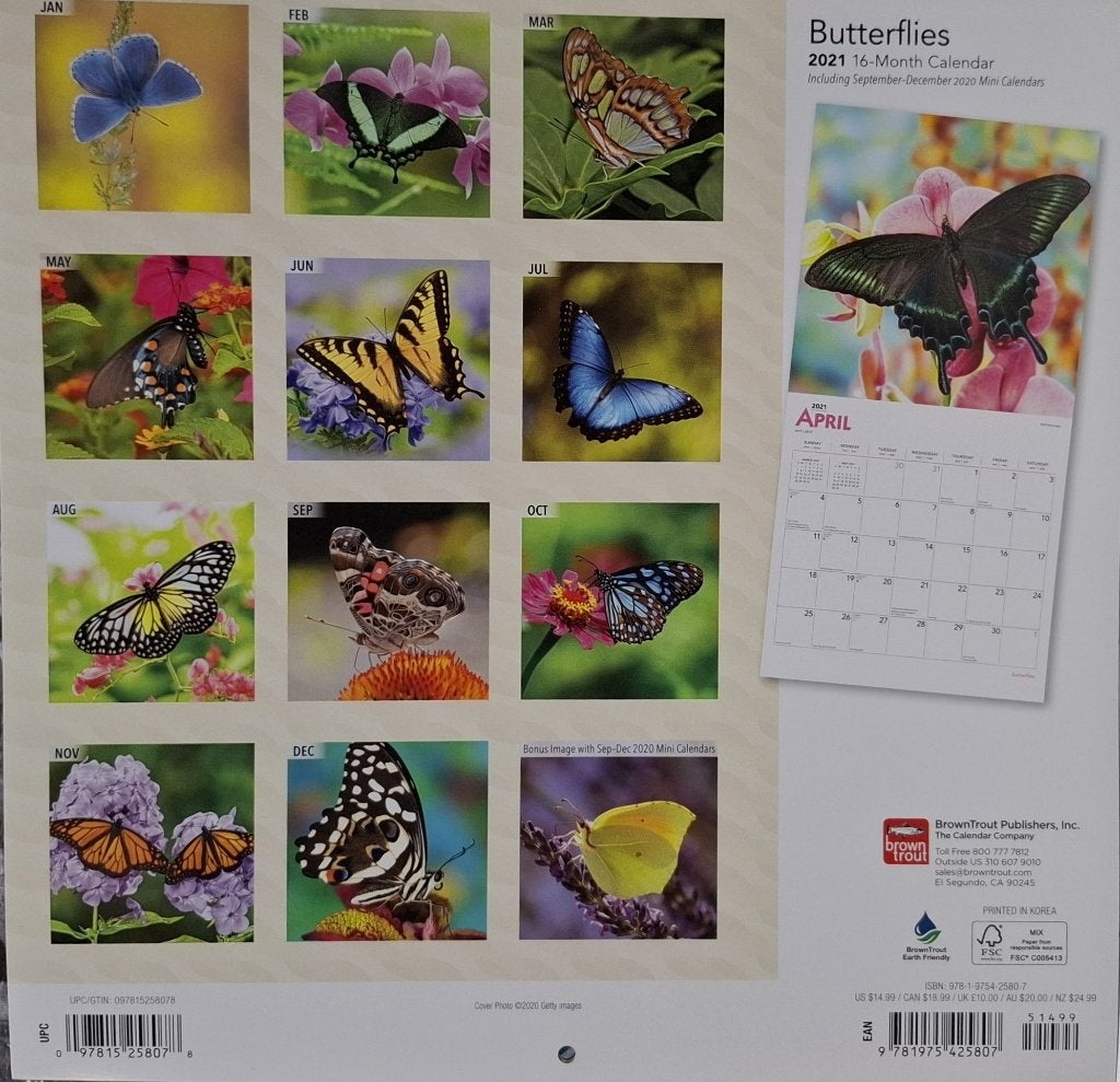 Vlinderkalenders 2011, 2016, 2017, 2019, 2021 NIEUW, Verzamelen, Foto's en Prenten, 1980 tot heden, Nieuw, Ophalen of Verzenden