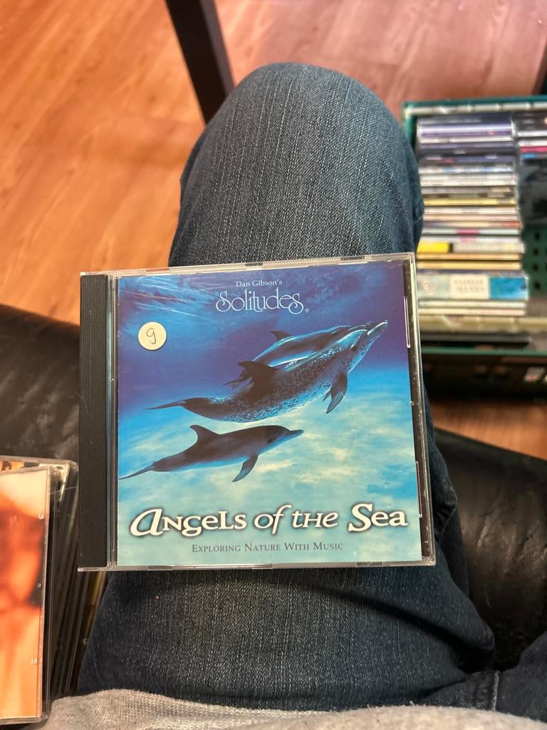 Dan Gibson's Solitudes: Angels of the Sea CD, Cd's en Dvd's, Ophalen of Verzenden, Zo goed als nieuw