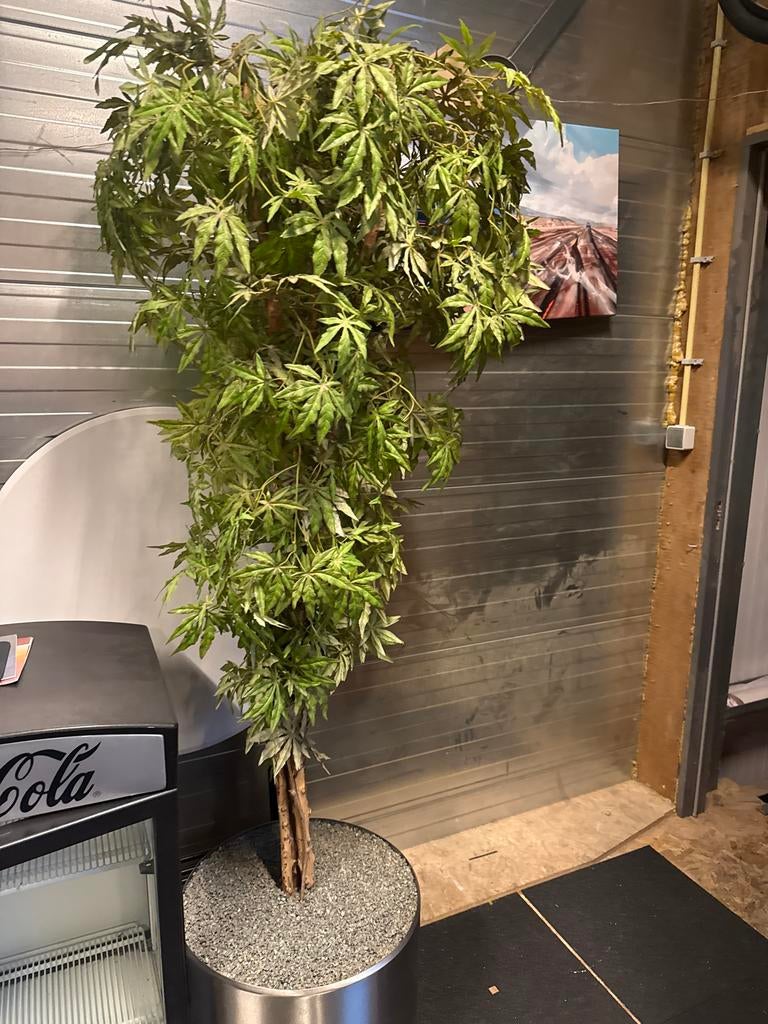 Decoratieve hennep Kunstplant in Pot, Volledige schaduw, Overige soorten, Ophalen of Verzenden, In pot