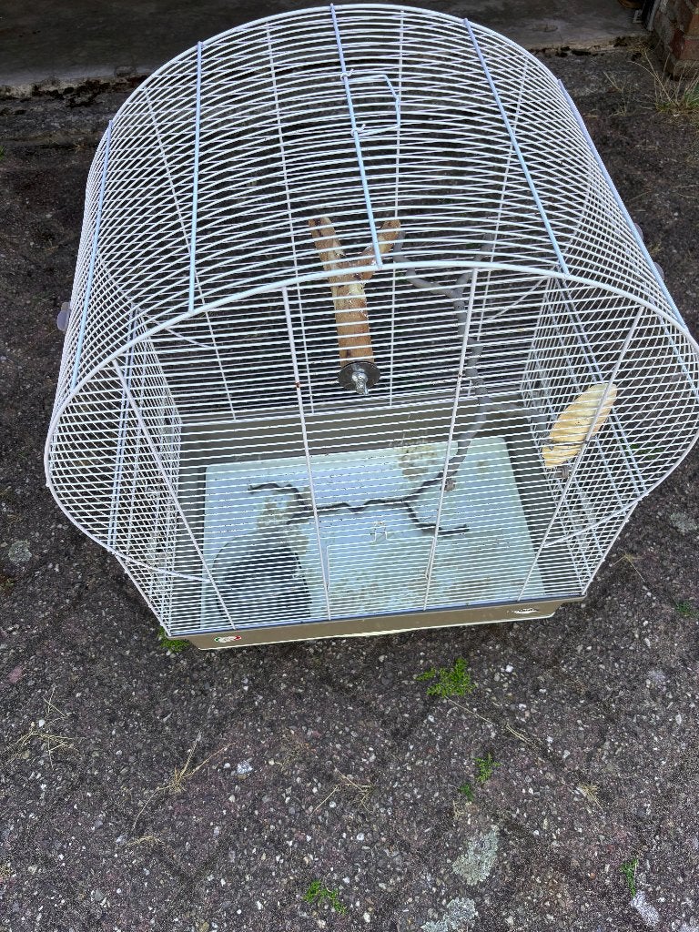 Vogelkooi, Dieren en Toebehoren, Ophalen, Gebruikt, Metaal, Vogelkooi