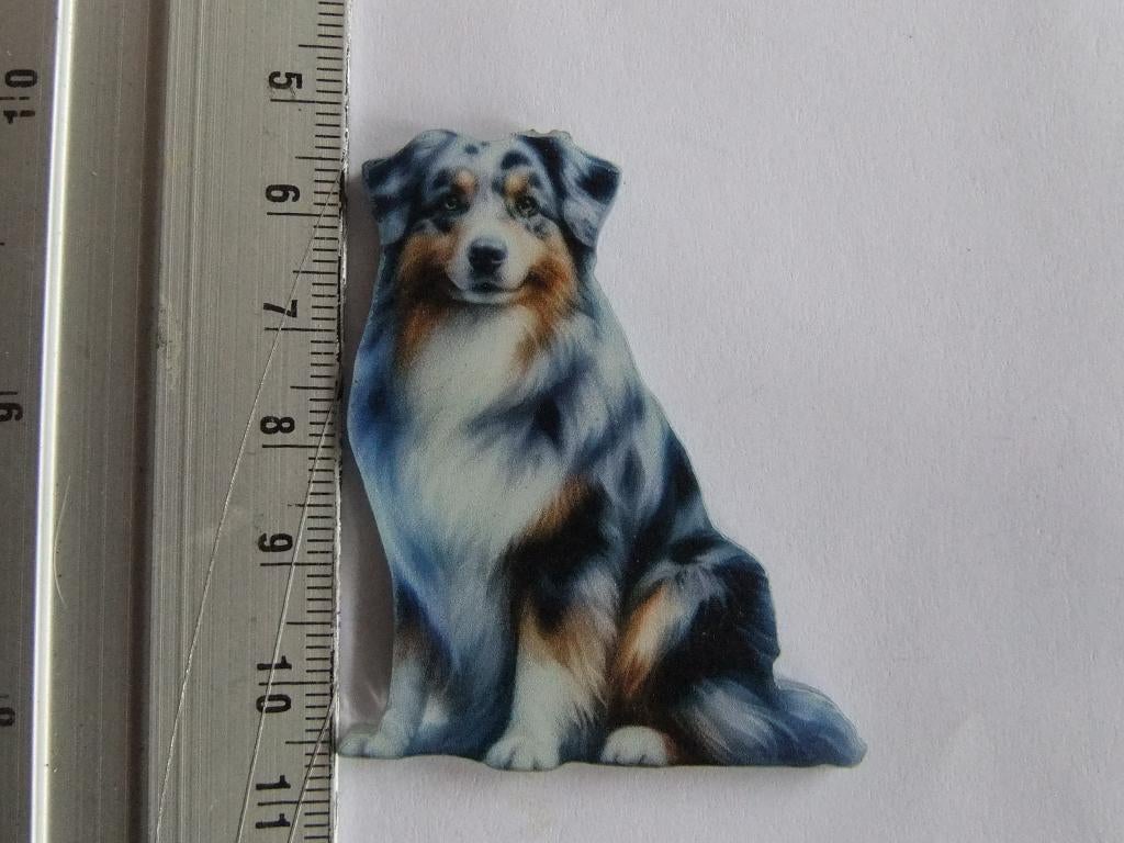 pin (speltje)  Australian Shepherd, Verzenden, Nieuw, Overige onderwerpen