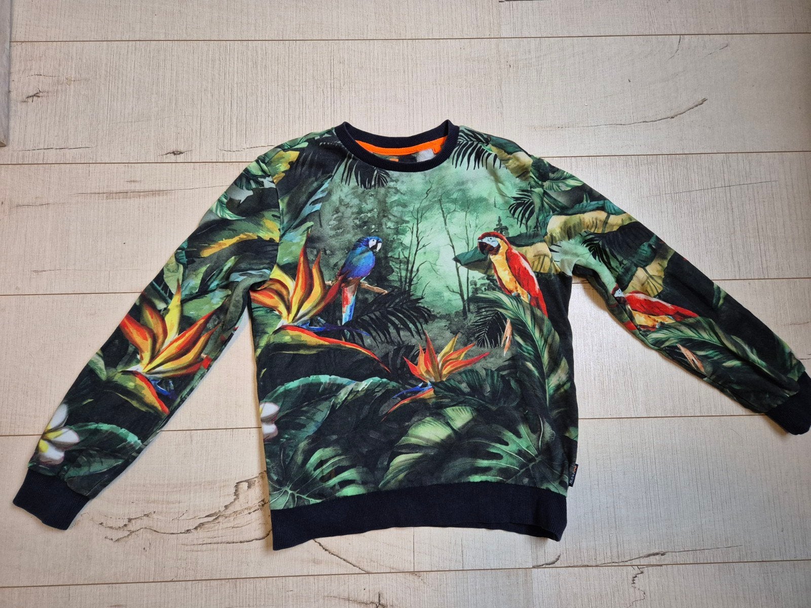Gave sweater papagaai/ Parrot mt 158/164 (WE Fashion), Ophalen, Zo goed als nieuw