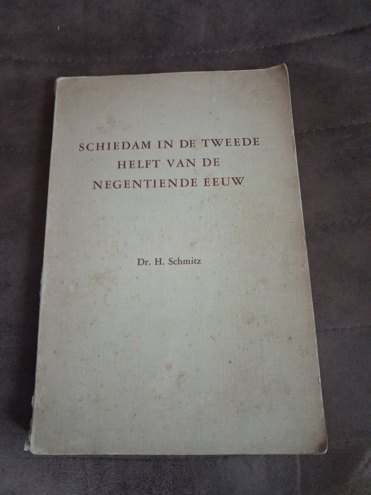 Schiedam in de tweede helft van de negentiende eeuw, Ophalen of Verzenden, Gelezen