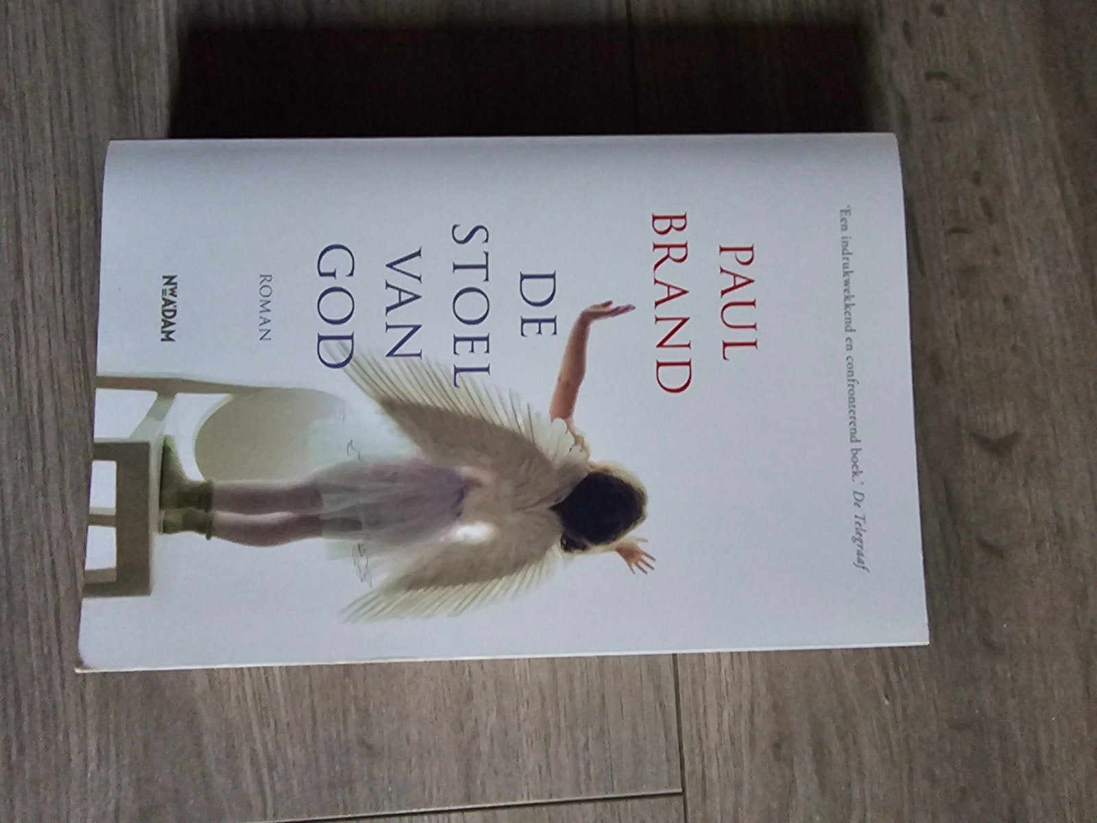 de stoel van god, Boeken, Ophalen of Verzenden, Zo goed als nieuw, Paul brand