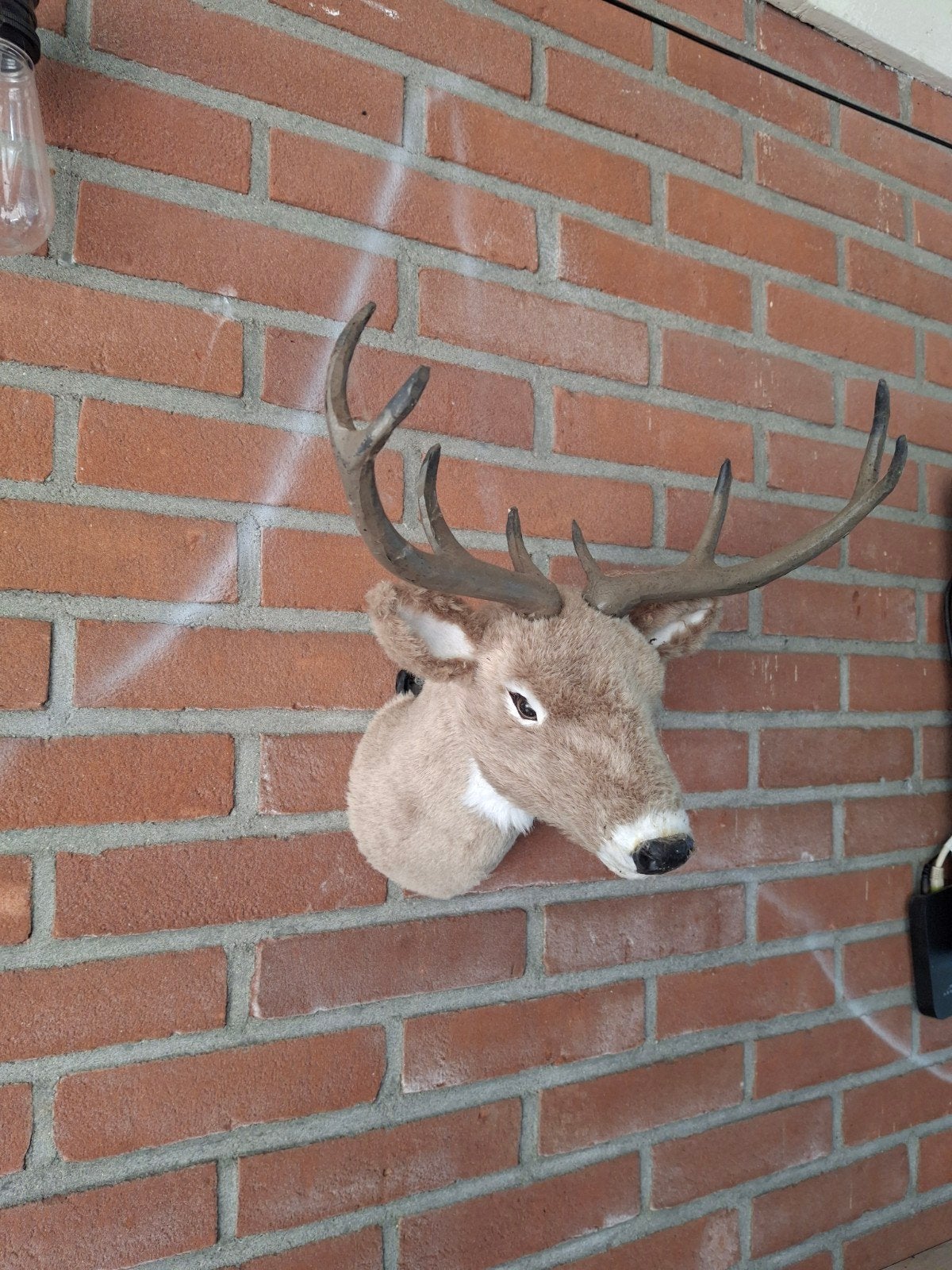 super mooie hertenkop, Ophalen of Verzenden, Zo goed als nieuw, Beeldje of Figuurtje