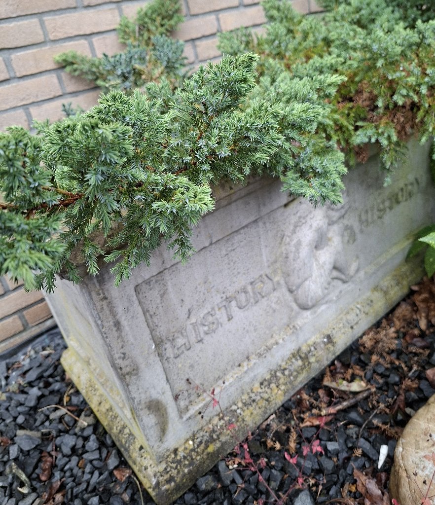 Betonnen bloembakken, Ophalen, Gebruikt, Beton, 60 cm of meer