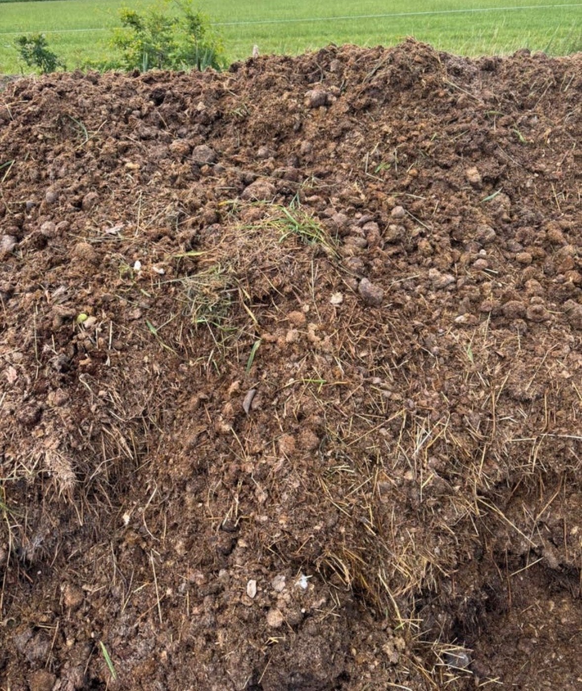 Gratis paardenmest voor moestuin of compostbult, Ophalen, Mest