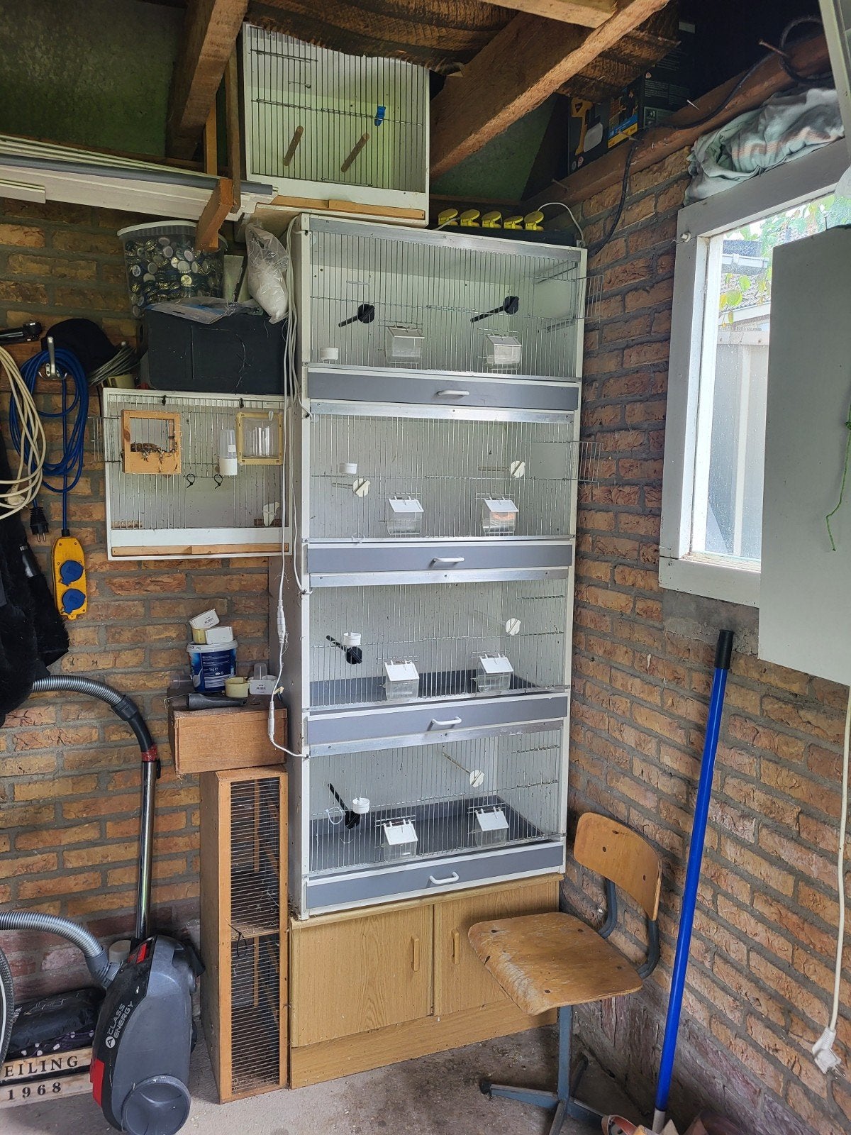 kweekkast vogels incl. verlichting + 3 babykooien!, Ophalen, Hout, Broedkooi of Kweekkooi