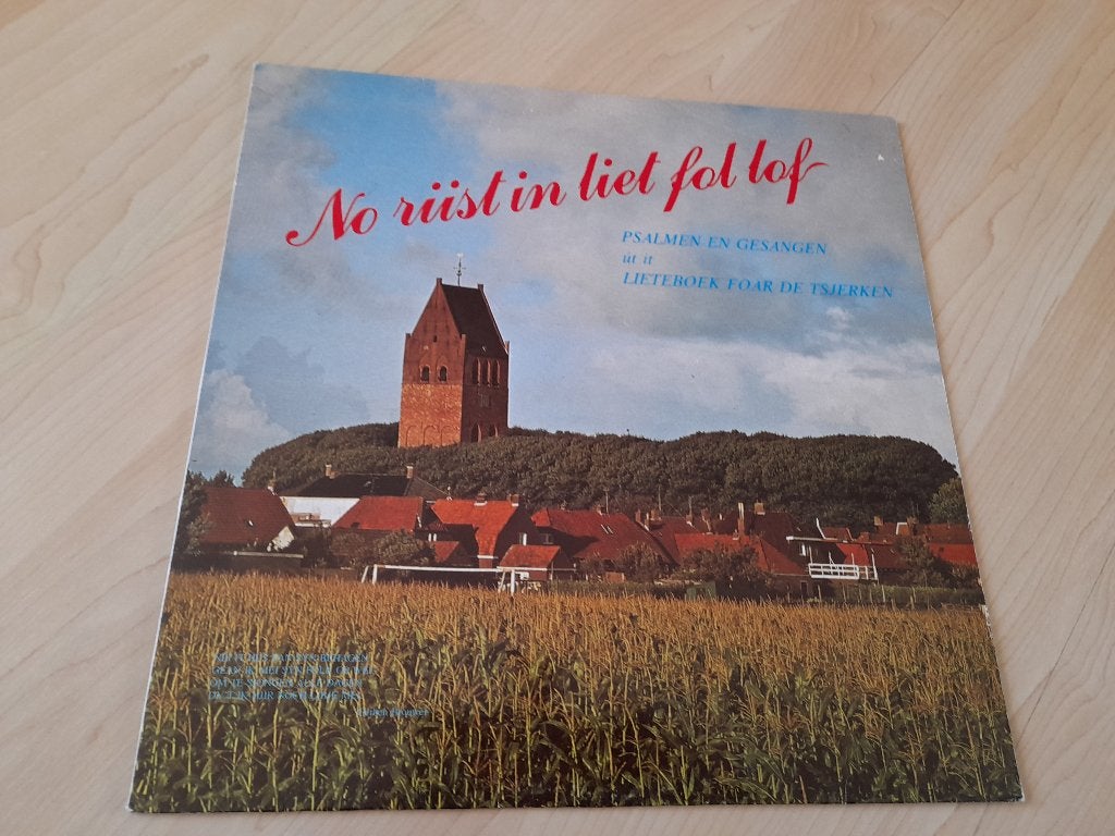LP NO RIIST IN LIET FOL LOF PSALMEN EN GESANGEN UT IT, Cd's en Dvd's, Vinyl | Overige Vinyl, Ophalen of Verzenden, Gebruikt, 12 inch