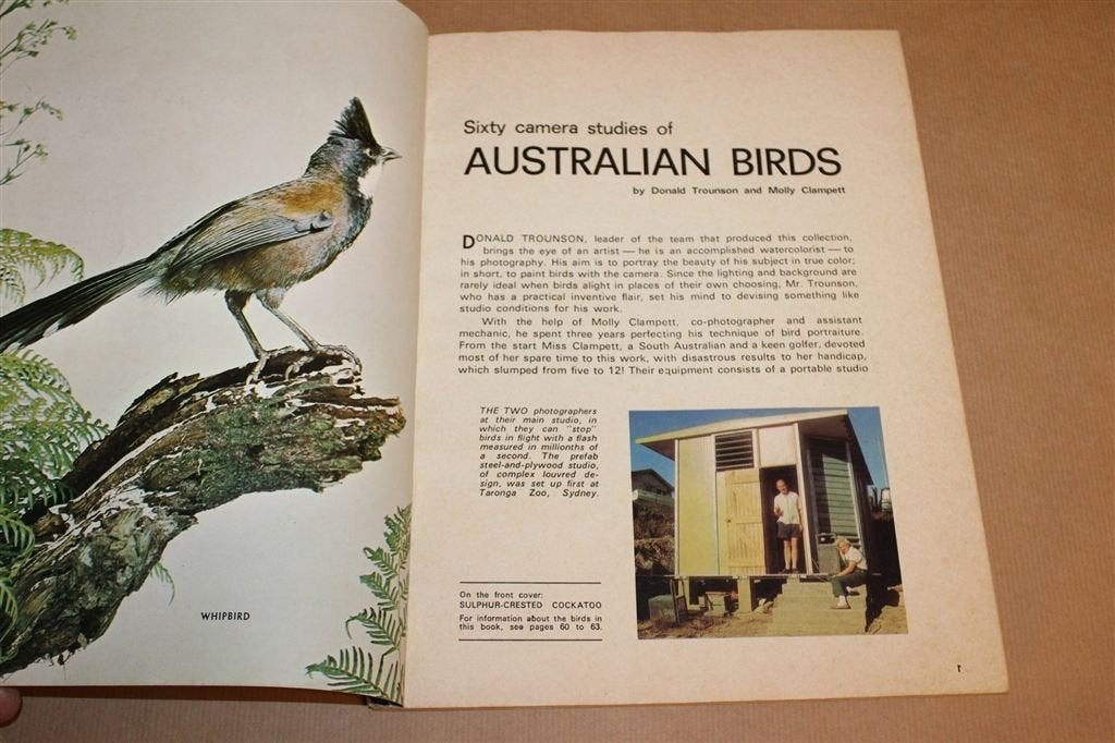 60 Camera Studies of Australian Birds — Vogels Vintage 1969, Boeken, Ophalen of Verzenden, Gelezen, Vogels
