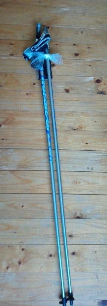 nordic walking stokken, Ophalen, Zo goed als nieuw, Wandelstok