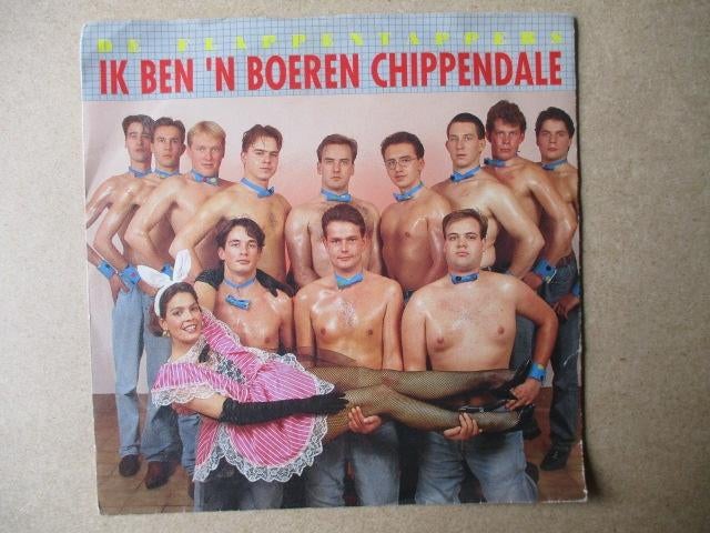 s0208 flappentappers - in ben n boeren chippendale, Cd's en Dvd's, Ophalen, Gebruikt, Overige genres
