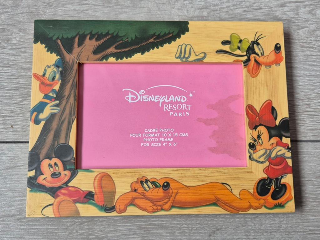 Fotolijst Disneyland resort Paris, Ophalen of Verzenden, Zo goed als nieuw