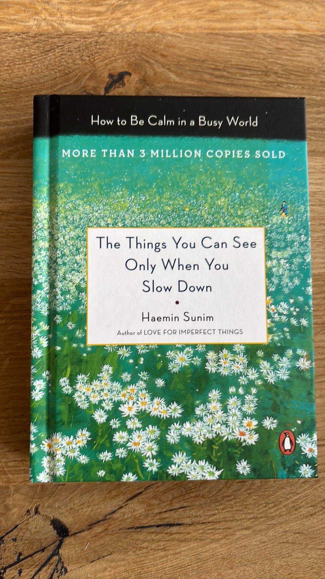 The Things You Can See Only When You Slow Down, Boeken, Psychologie, Ophalen of Verzenden, Zo goed als nieuw, Haemin Sunim