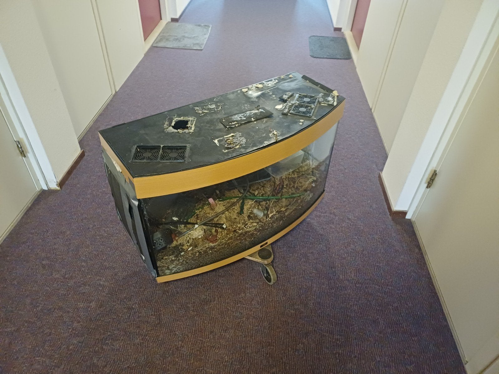 juwel vision 180 aquarium - 92 x 41 x 55 cm, Dieren en Toebehoren, Ophalen, Gebruikt, Juwel, Inclusief deksel