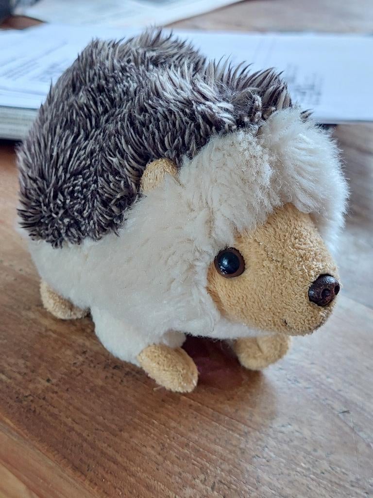 Egel knuffel, Ophalen of Verzenden