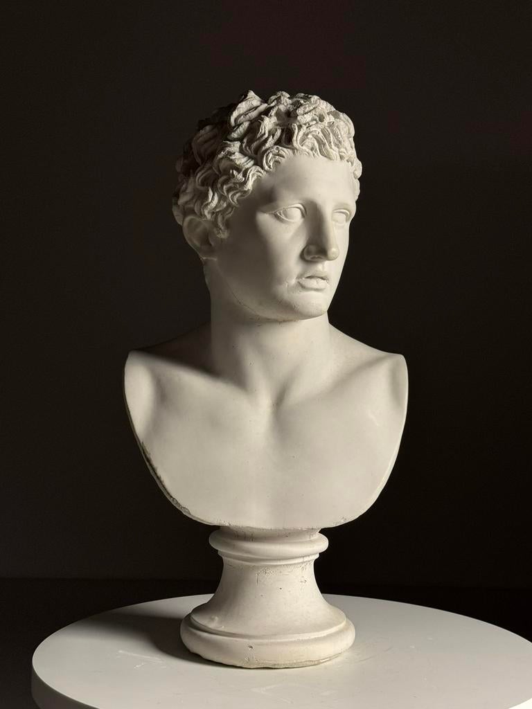 Buste Borstbeeld Meleager Griekse Mythologie, Ophalen, Gebruikt, Dier