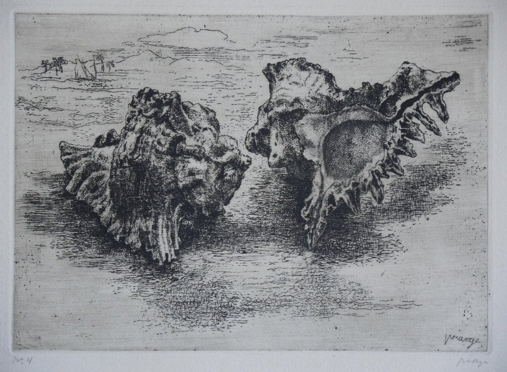 Jacobus Marie Prange ets "Schelpen No. 4", gesigneerd, Ophalen, Minder dan 50 cm, Gebruikt, Oorspronkelijke maker