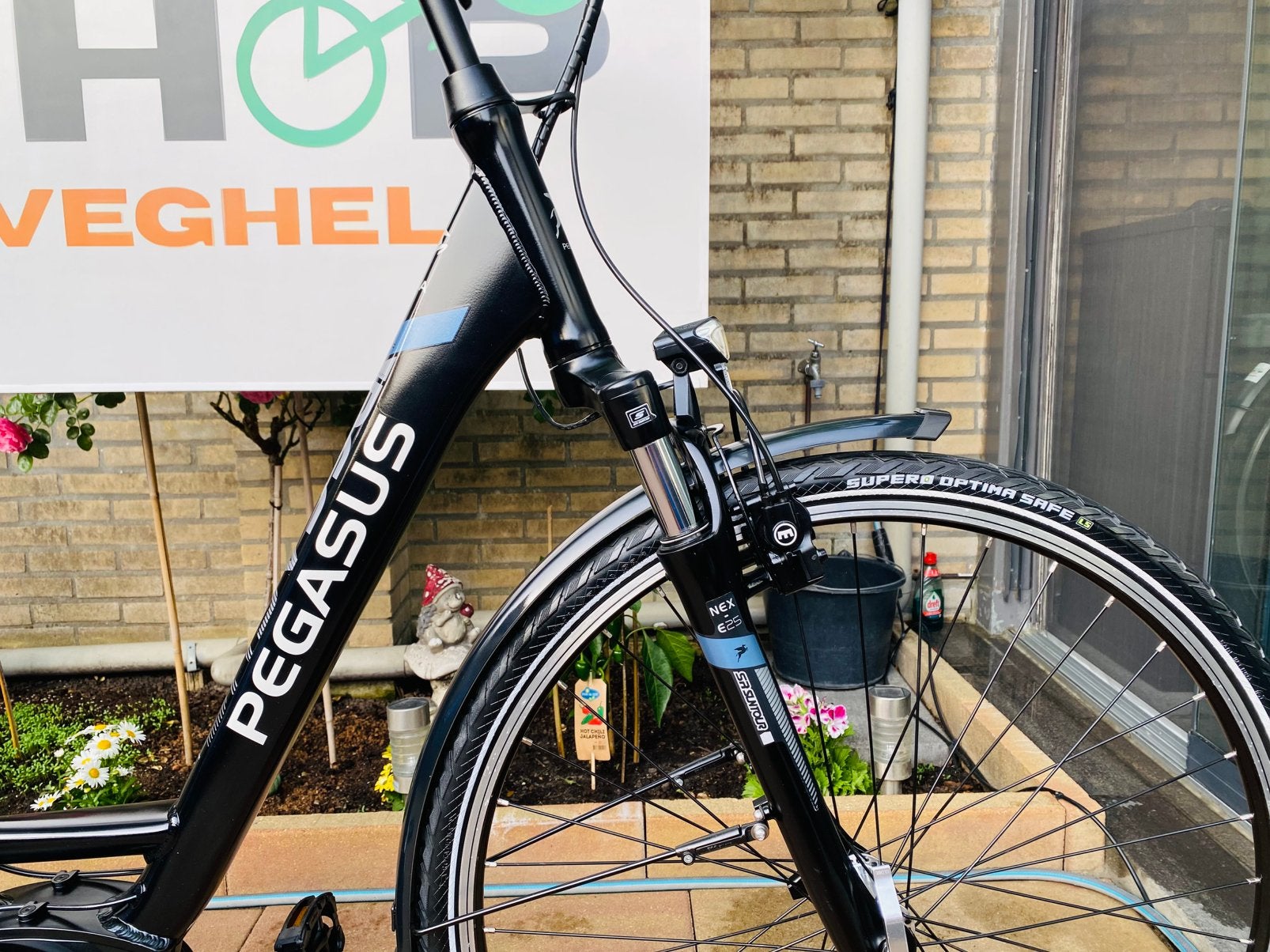 Elektrische Pegasus Bosch Middenmoto Active Line.D53, Fietsen en Brommers, Fietsen | Dames | Damesfietsen, 53 tot 56 cm, Ophalen of Verzenden