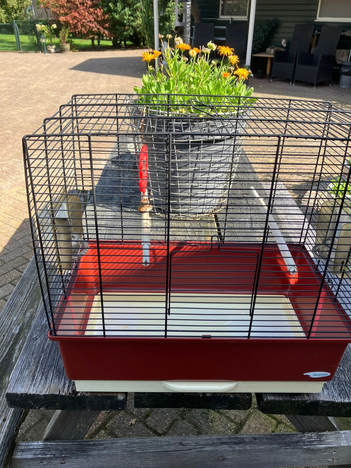 vogel kooi ferplast , eet en drink bakjes,50cm lang,30cm br., Dieren en Toebehoren, Ophalen, Gebruikt, Metaal, Vogelkooi