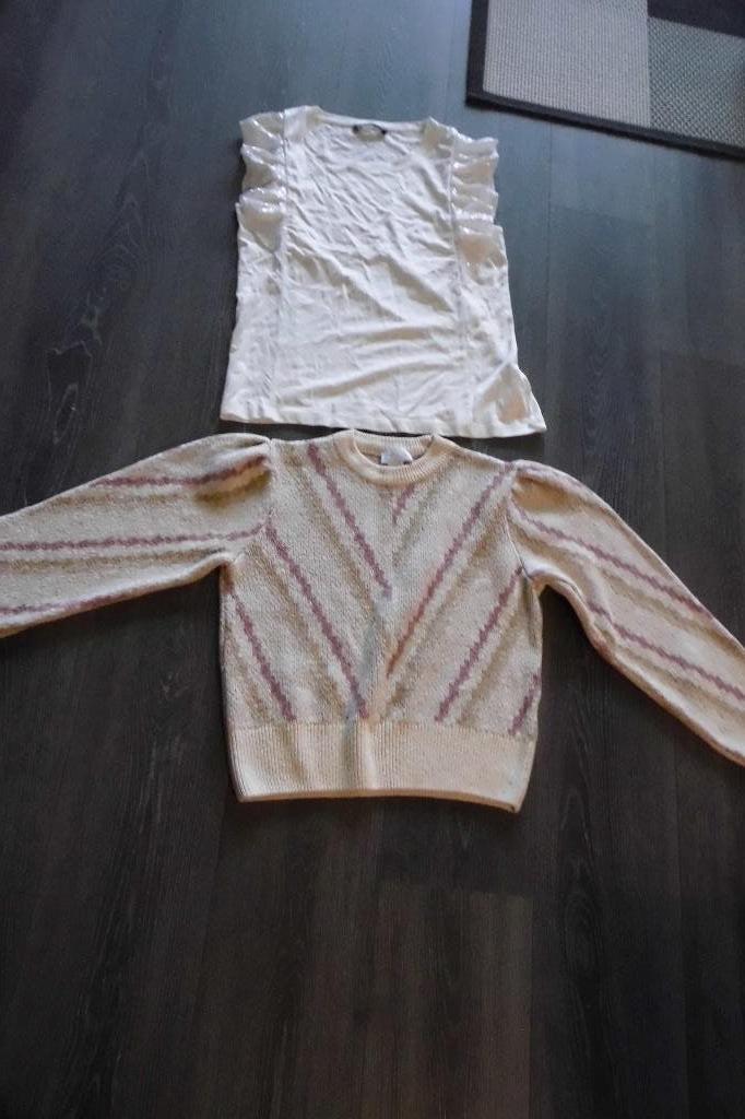 shirt en trui maat M, Maat 38/40 (M), Beige, Ophalen of Verzenden, Lange mouw