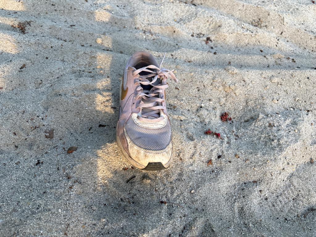 Nike Air Max Sneakers - Roze/Goud, Kleding | Dames, Schoenen, Ophalen of Verzenden, Gedragen, Roze, Sneakers of Gympen