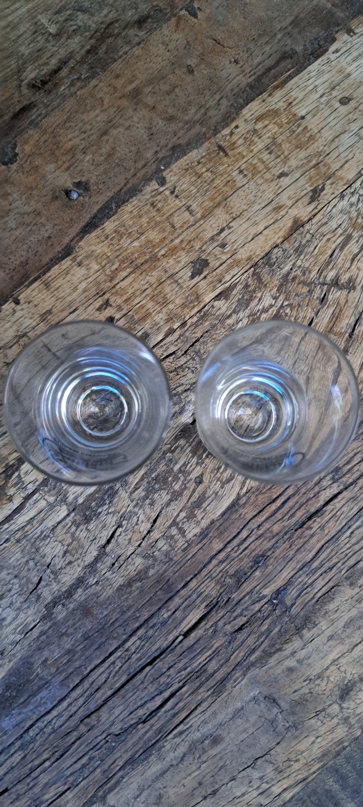 Set van 12 ZUIDAM shotglaasjes nieuw in doos, Verzamelen, Ophalen of Verzenden, Nieuw, Borrel- of Shotglas