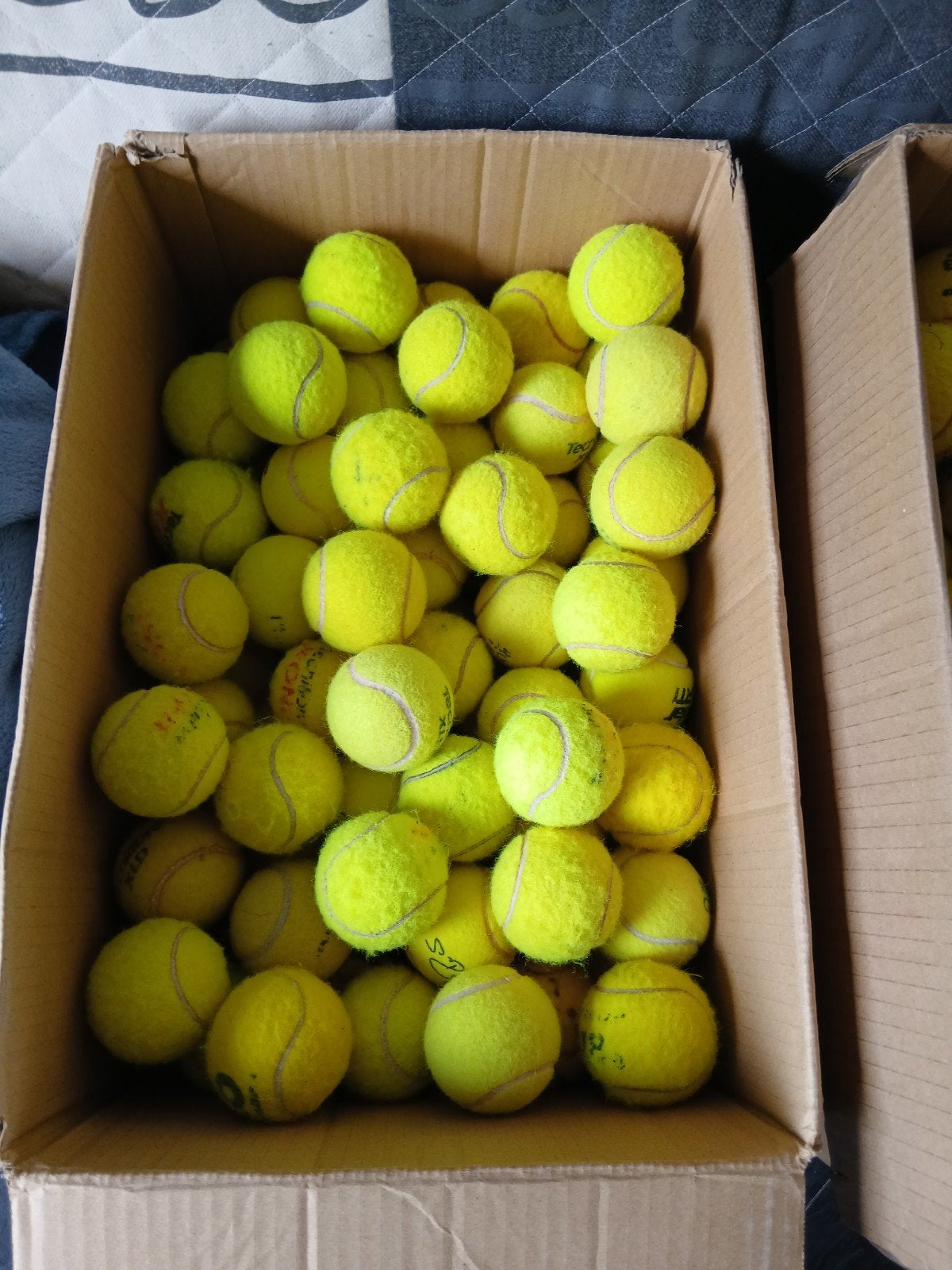 Tennis ballen voor de hond, Dieren en Toebehoren, Hondenspeelgoed, Ophalen of Verzenden, Gebruikt