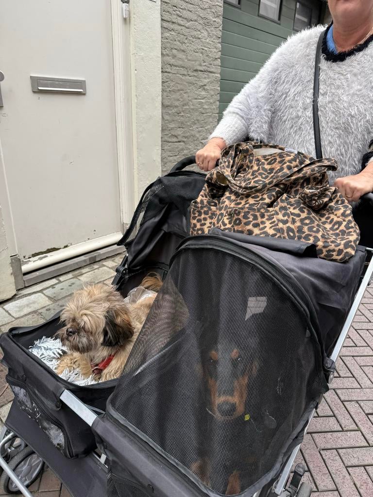 Honden buggy, Dieren en Toebehoren, Honden-accessoires, Ophalen of Verzenden, Zo goed als nieuw