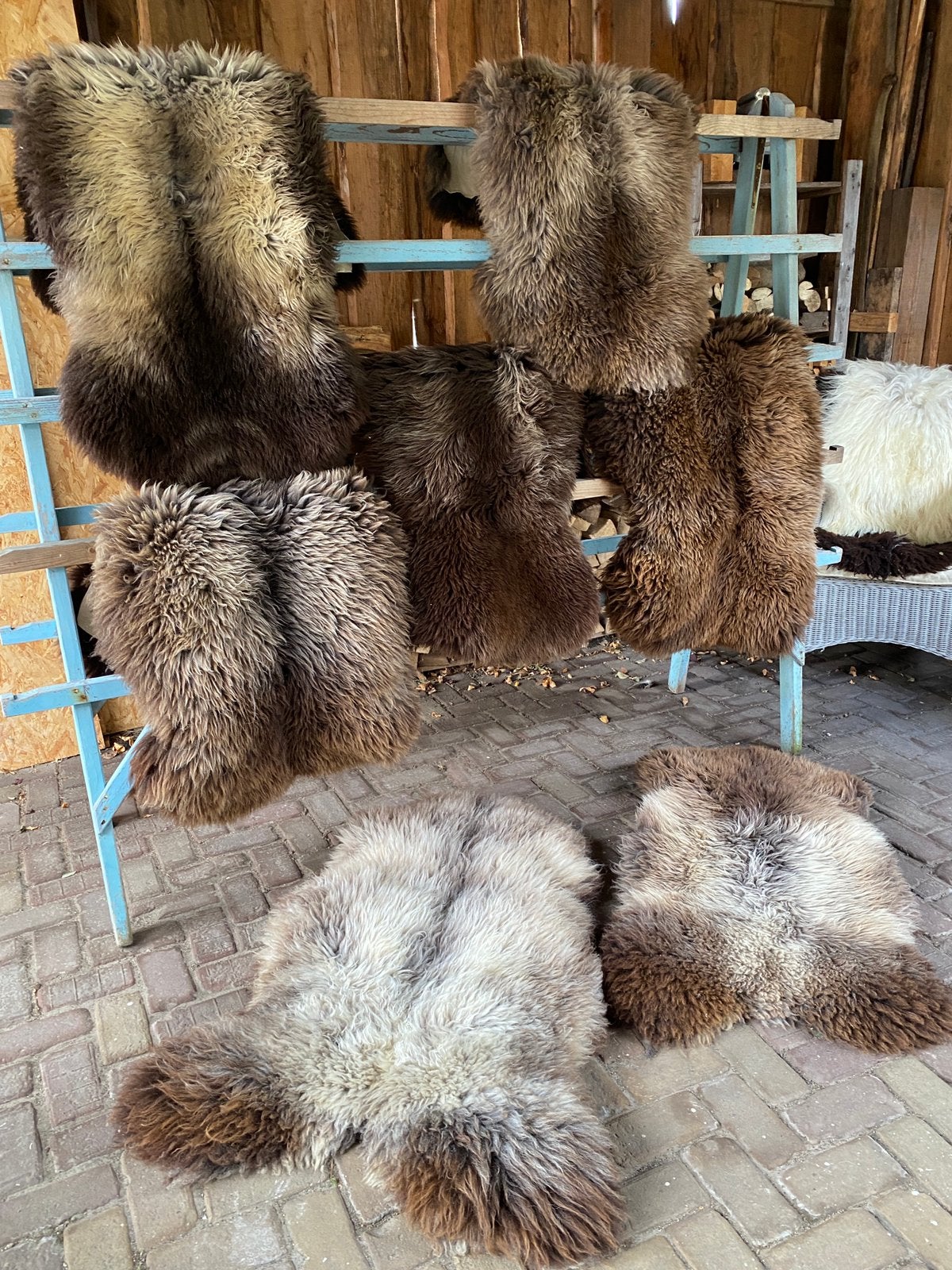 Schapenvachten grijs, lichf, bont of bruin, Ophalen of Verzenden, Nieuw