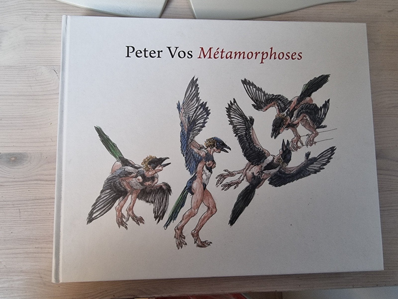Metamorphoses boek van Peter Vos, Ophalen of Verzenden, Zo goed als nieuw