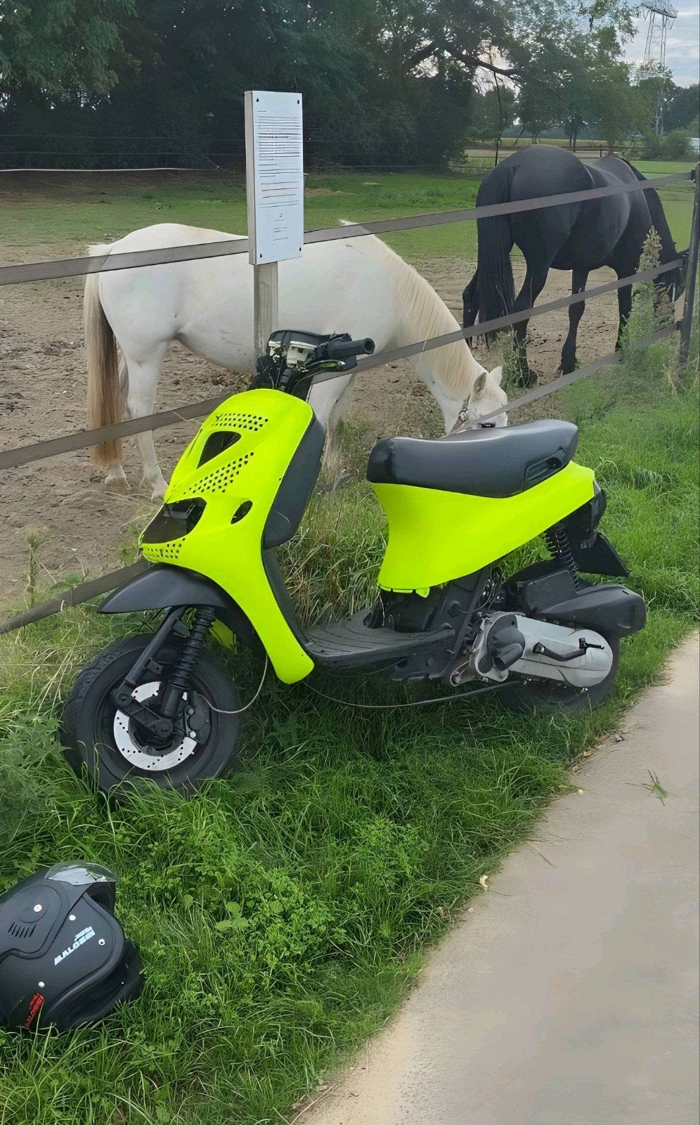 Piaggio Zip SP98 172 - Unieke en snelle scooter, Ophalen, Zo goed als nieuw, Tweetakt, Zip