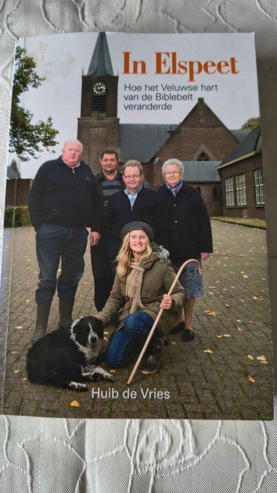 In Elspeet: Hoe het Veluwse hart van de Biblebelt veranderde, Boeken, Ophalen of Verzenden, 20e eeuw of later, Zo goed als nieuw