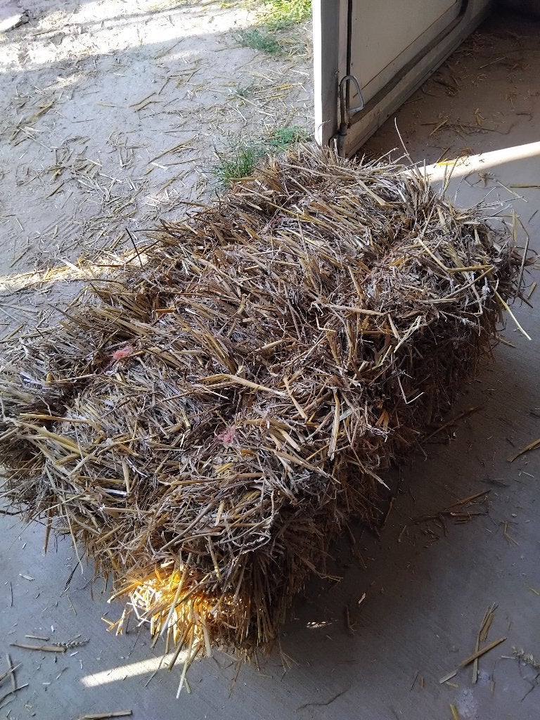 Kleine pakken tarwe stro, Ophalen, Vee