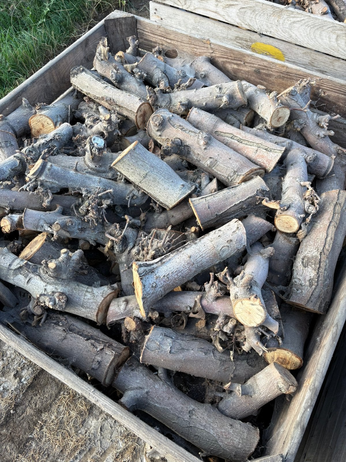Openhaardhout, Tuin en Terras, 6 m³ of meer, Ophalen of Verzenden, Overige houtsoorten, Blokken