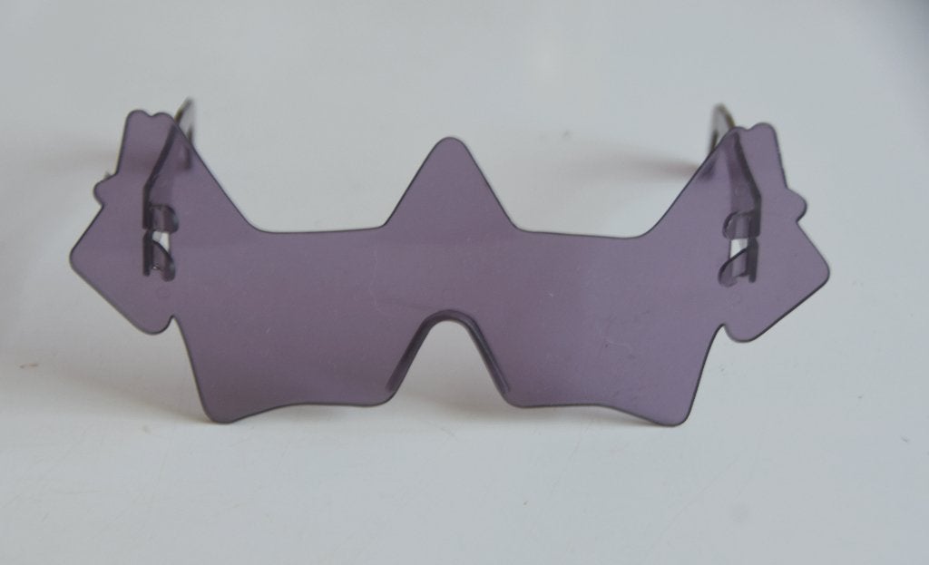 Cinzia Ruggeri Designer Zonnebril + terriers Optometrie, Verzenden