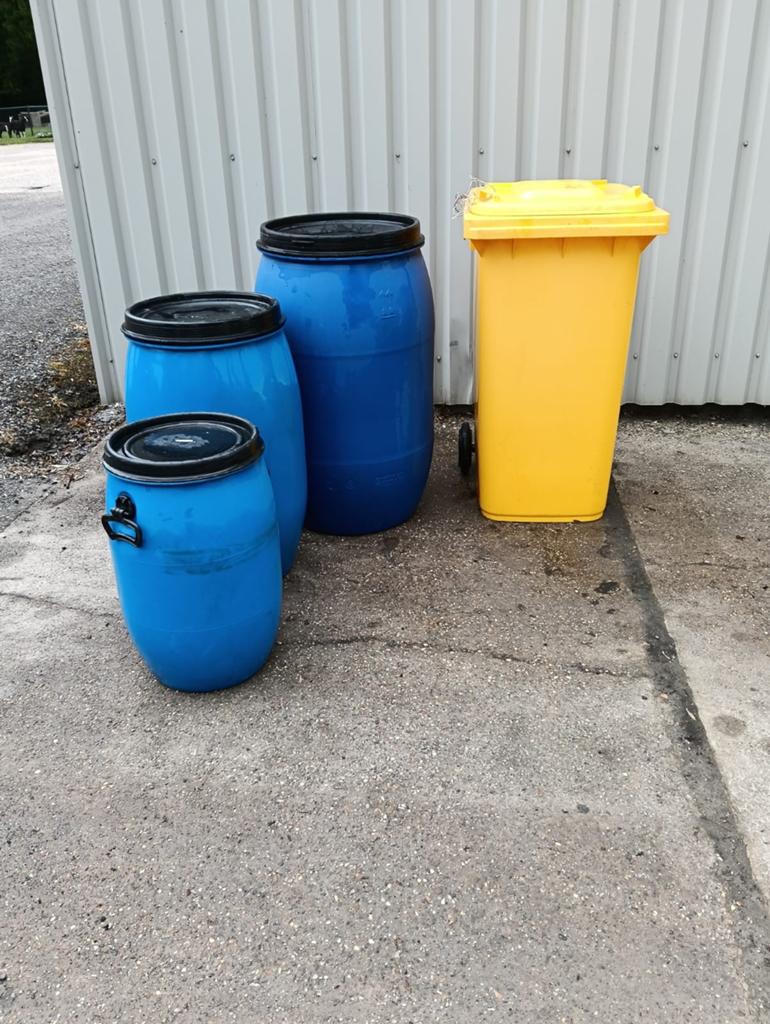 Voertonnen/ regentonnen/ waterton paard/ gele container, Meerdere dieren, Schaap