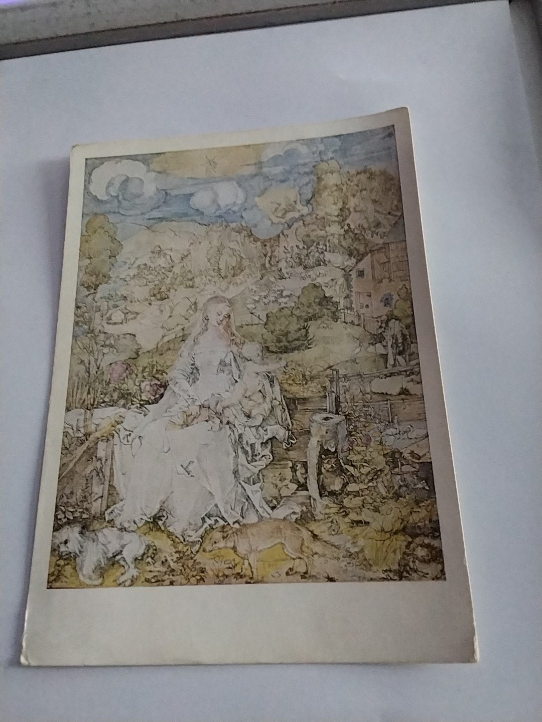 ALBRECHT DURER. MADONNA MIT DEN TIEREN, Ophalen of Verzenden