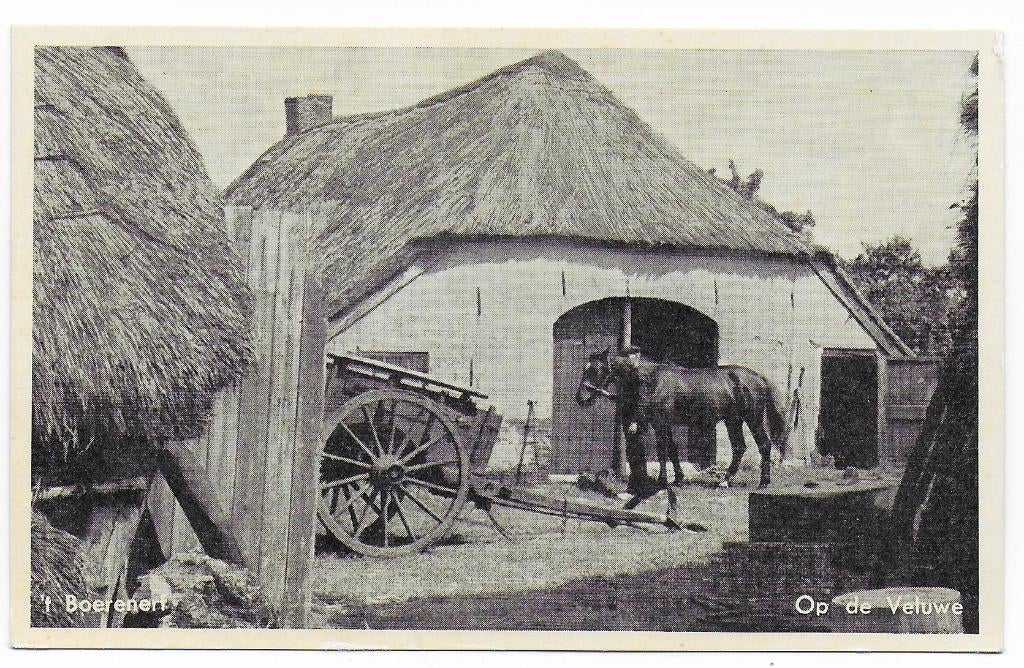 Op de Veluwe - 't Boerenerf - Ongelopen ansichtkaart B6903, Ophalen of Verzenden, 1940 tot 1960, Ongelopen, Gelderland