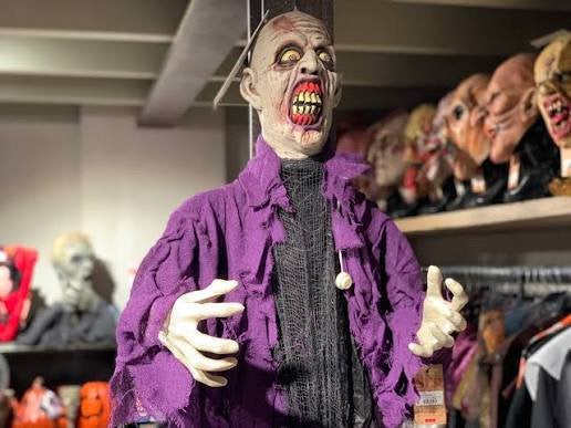 Gratis Halloween decoratie gezocht, Ophalen, Gebruikt, Versiering, Halloween of Griezel